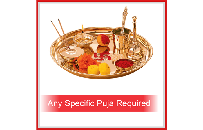 Any Specific Puja
